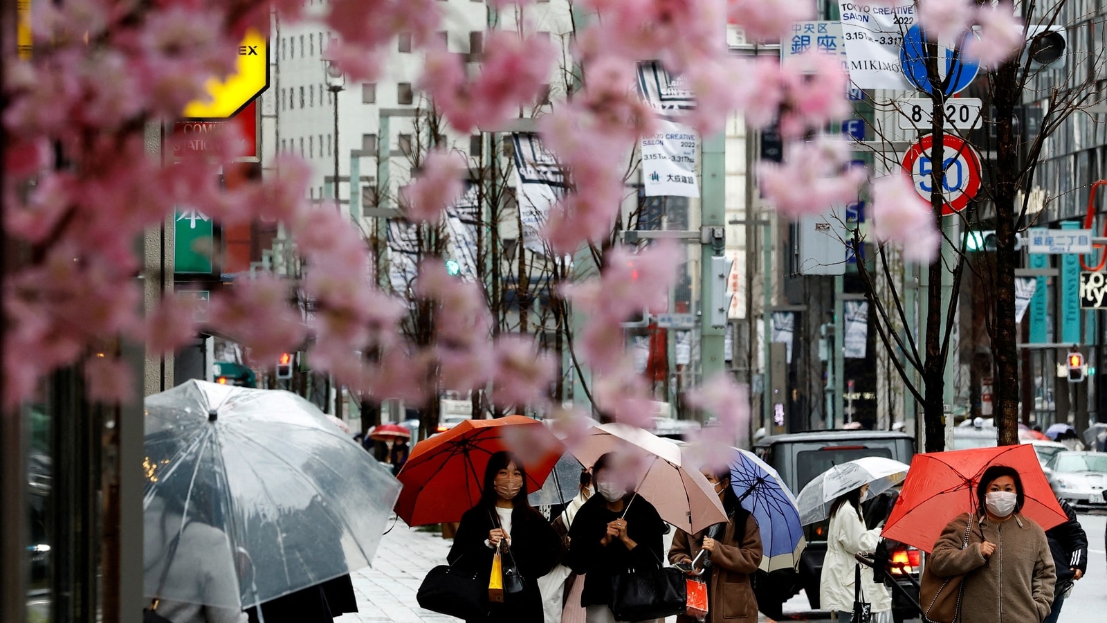 Japan to reopen visa-free journey as Covid recedes | World Information