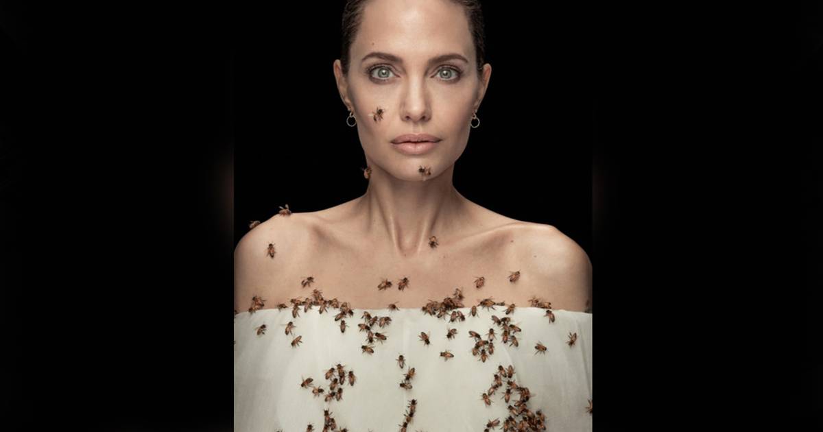 Portrait of Angelina Jolie coated in bees wins award