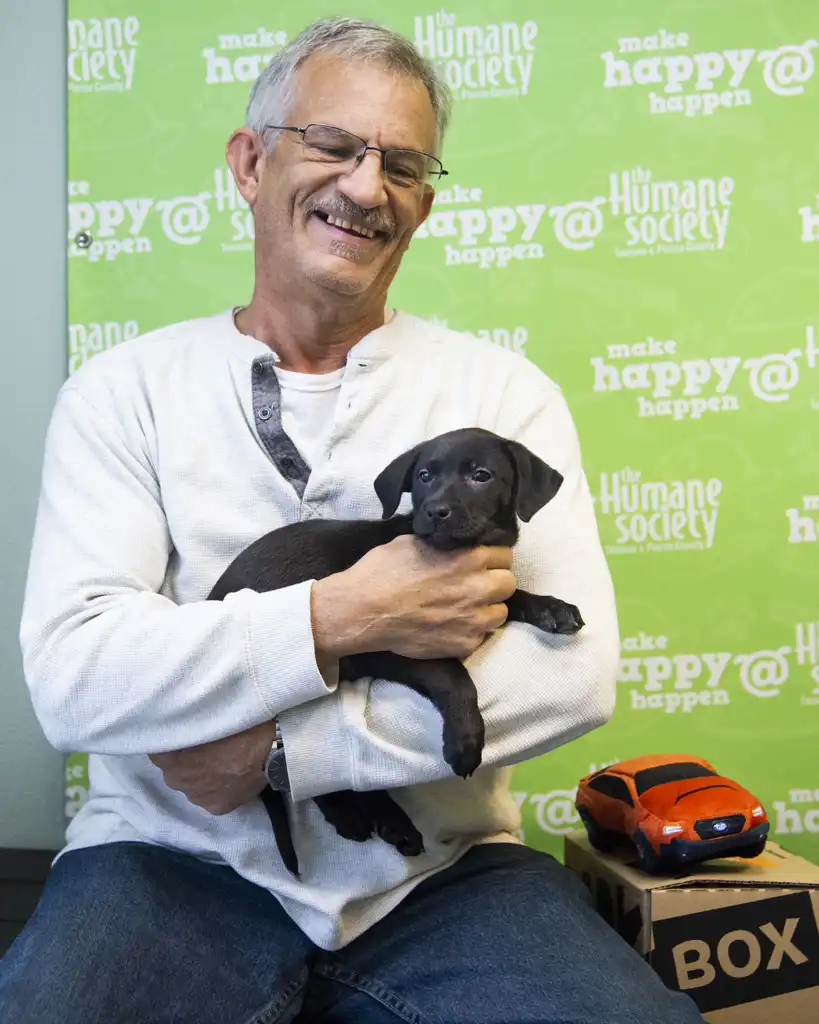 70 Shelter Pets Discover Houses Throughout Tacoma Animal Shelter Adoption Occasion in Partnership with Tacoma Subaru – The Suburban Instances