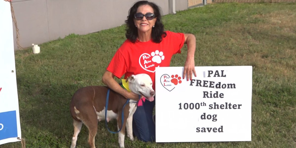 Pets Alive Laredo celebrates 1,000 rescues