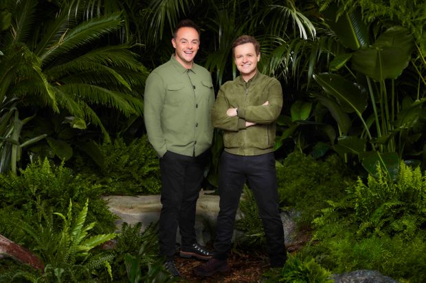 I am a Celeb vote opens – decide the Jungle VIPs who’ll be stranded