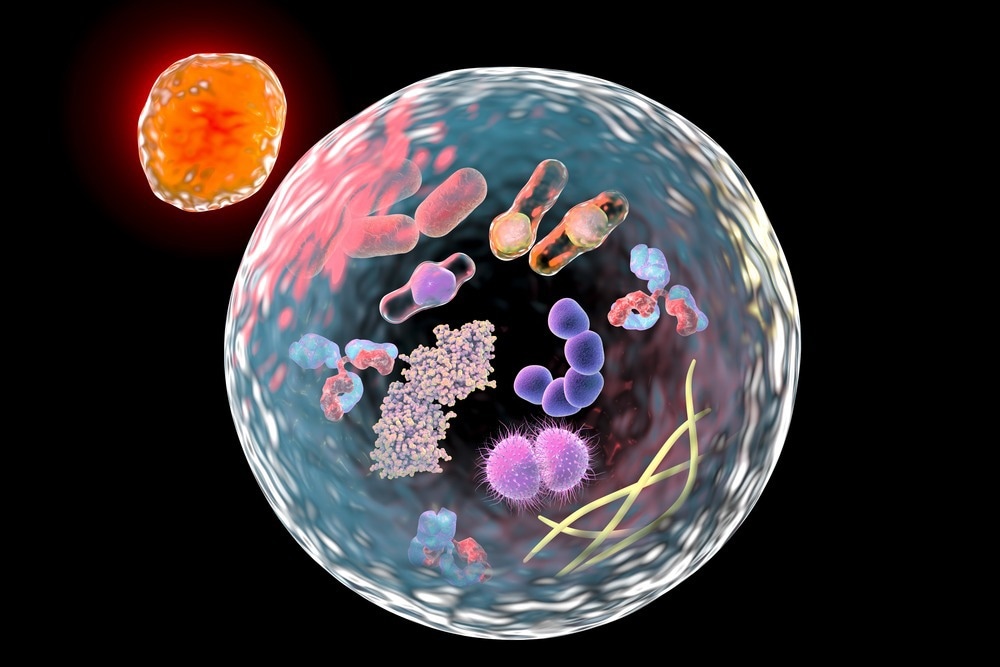 Swine acute diarrhea syndrome coronavirus promotes replication by inducing autophagy