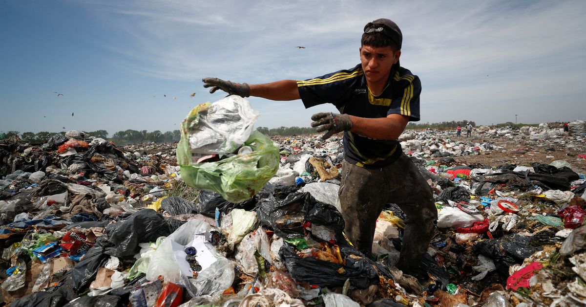 Turning to rubbish dumps to outlive, Argentines really feel the ache of 100% inflation