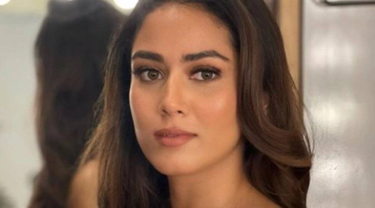 Mira Kapoor can carry off style traits with ease; right here’s proof