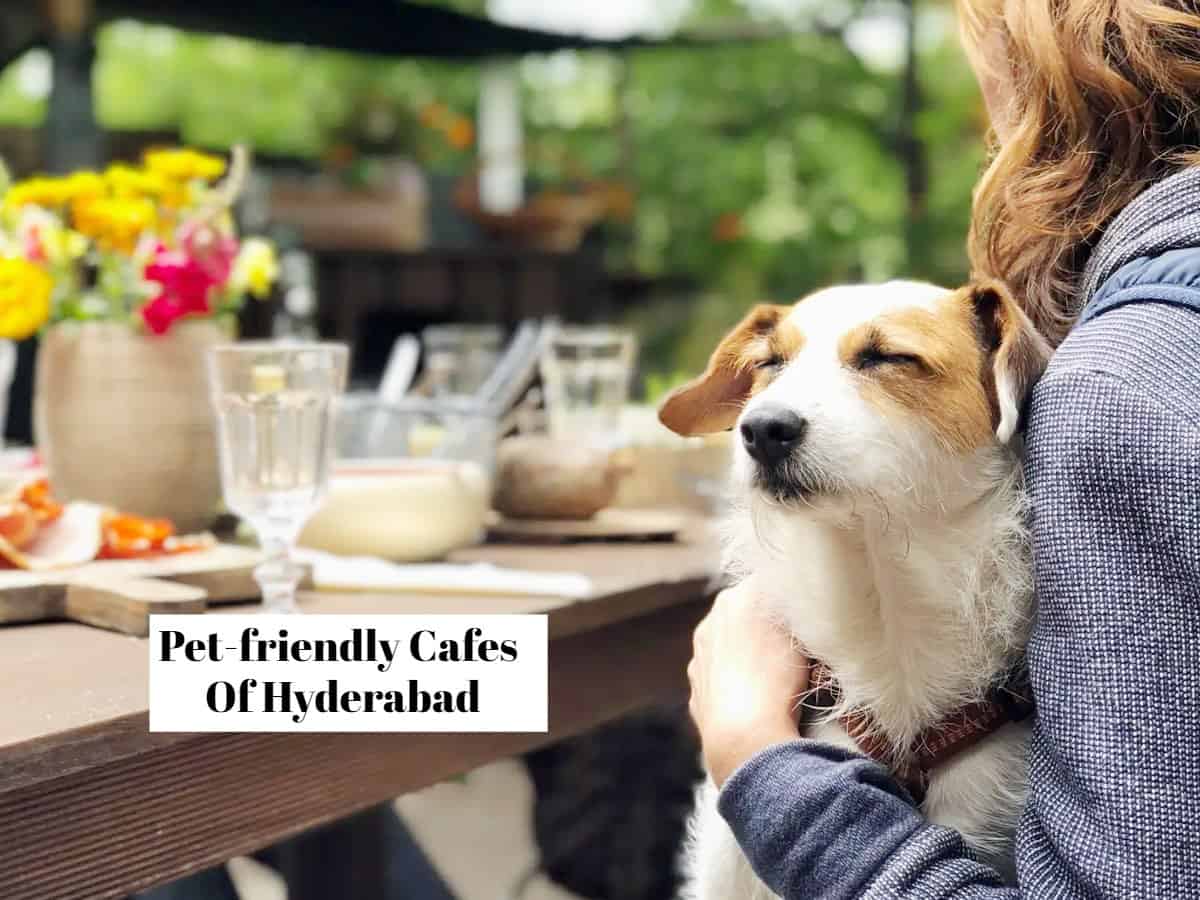 6 Hand-picked pet-friendly cafes in Hyderabad