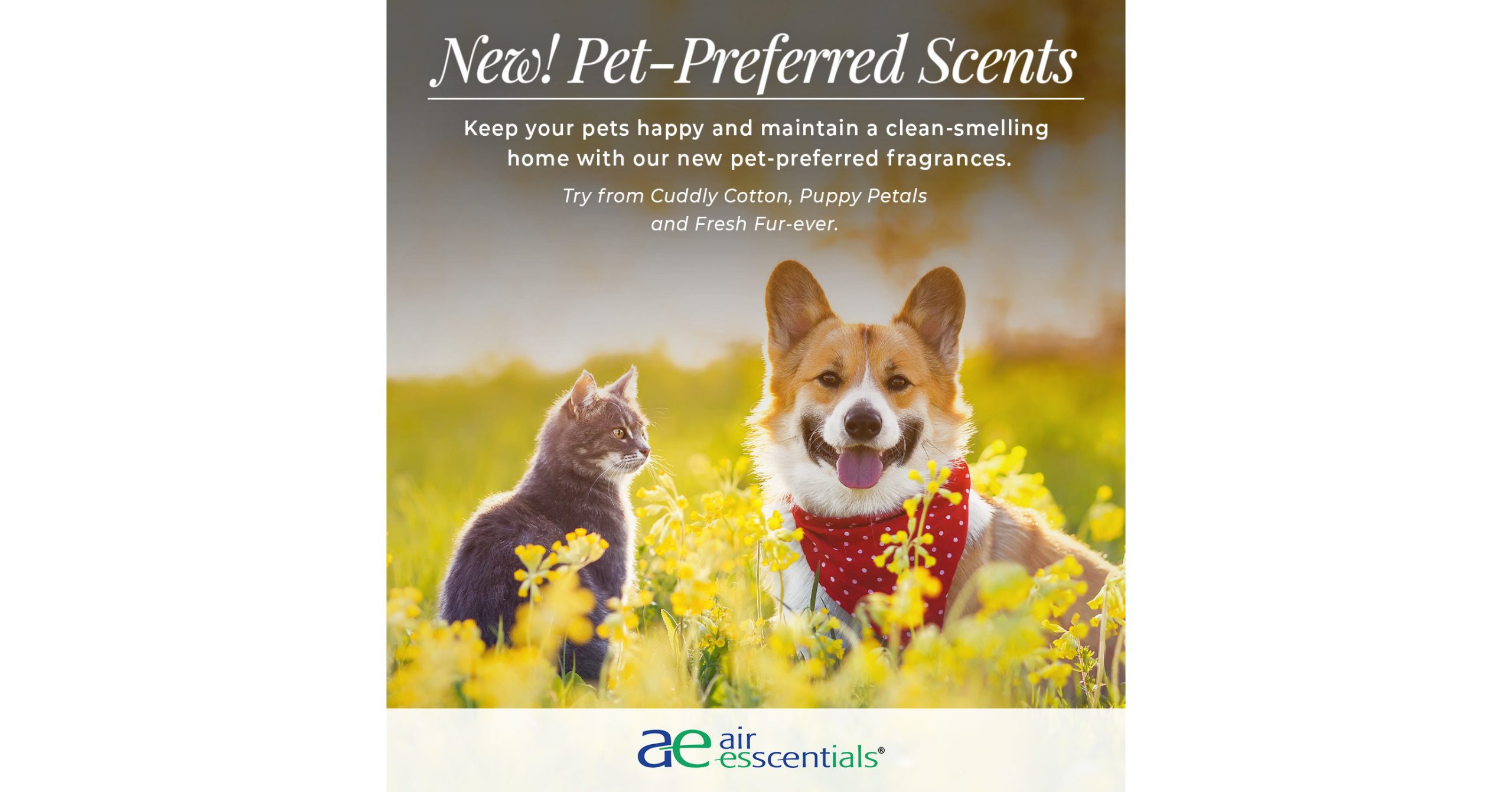 Air Esscentials Launches Pet Most popular Perfume Line