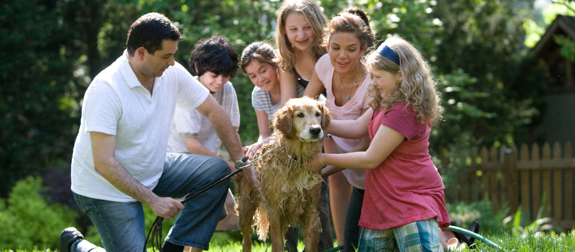 Methods to defend your kids and pets from rodent poisons – PUBLIC HEALTH INSIDER