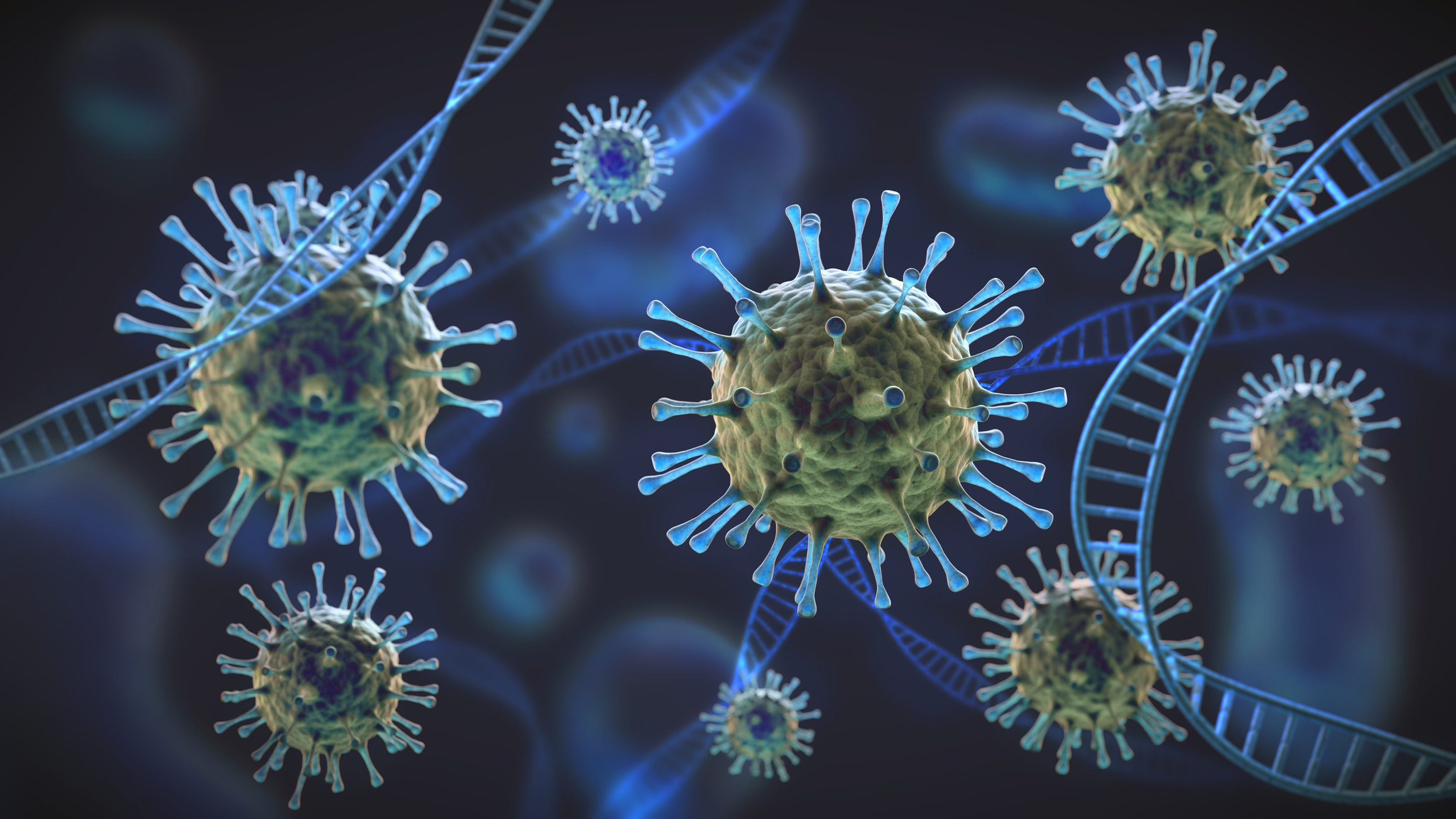 Bivalent Antibodies Work Higher towards SARS-CoV-2