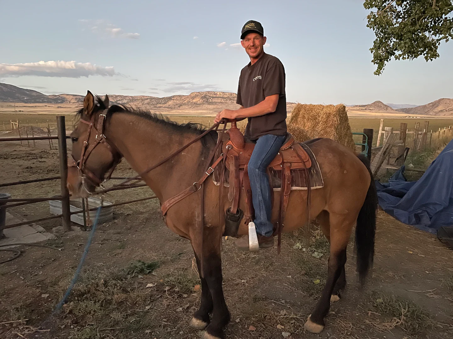 Horse returns to proprietor in Utah after roaming wild for eight years