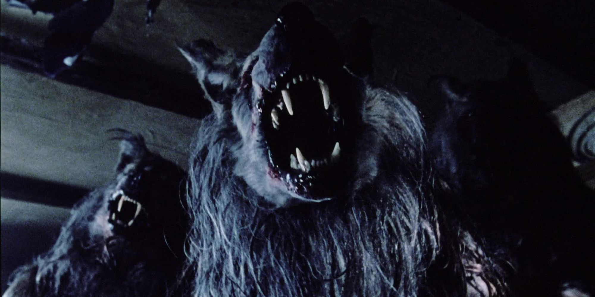 Horror Motion pictures That Twist The Werewolf Mythos