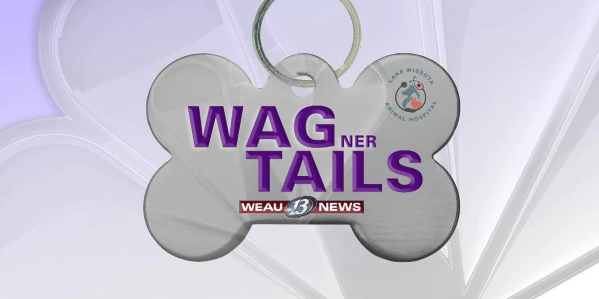 Wagner Tails marks four years of helping pets find homes