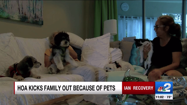 Sanibel household searches for brand spanking new residence after being kicked out by HOA over pets