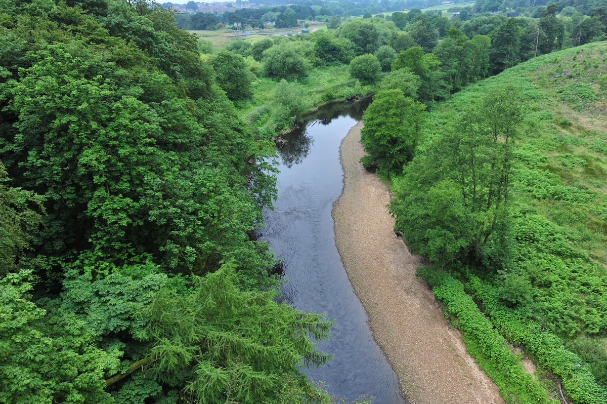 Fashionable magnificence spot cordoned off as man’s physique present in River Nidd close to Harrogate