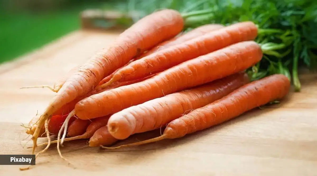 Does consuming a carrot a day hold the physician away?