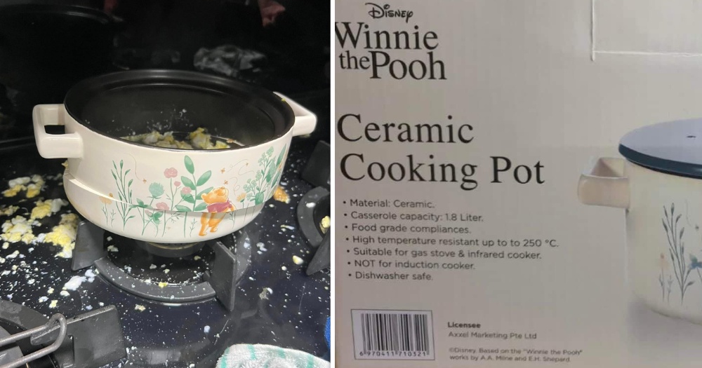 ‘Fortunate my 10-month-old son was not residence’: Winnie the Pooh ceramic pot splits in half for an additional S’pore household – Mothership.SG