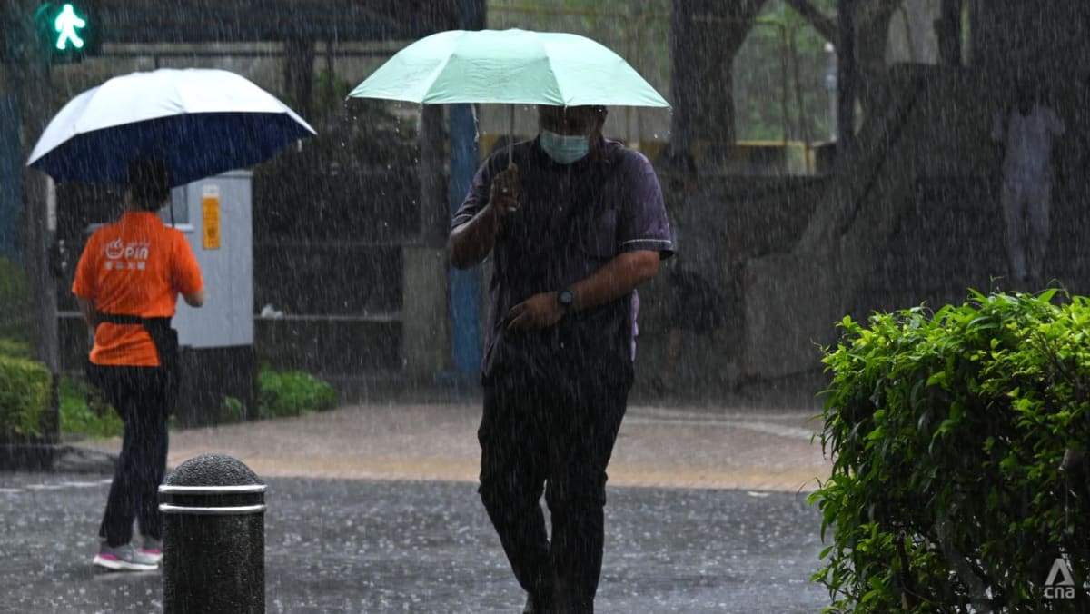 Moist climate anticipated to proceed for the remainder of October: Met Service