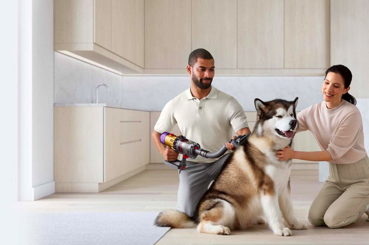 The Dyson pet grooming package makes your pet’s after-bath ritual peaceable and stress-free