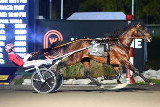 Breeders Crown: Ecurie D defends Open Trot championship in type – Day by day Racing Kind