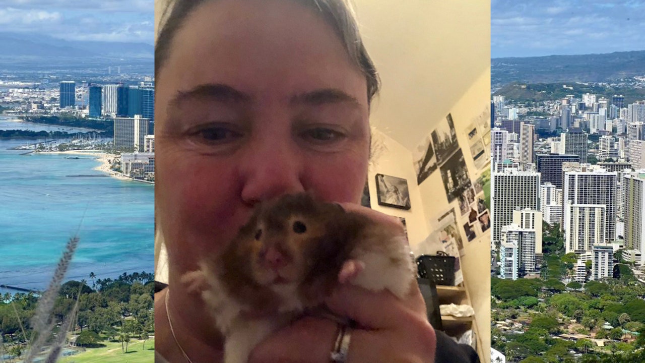 UK lady flies 7,000 miles to Hawaii to scatter pet hamster’s ashes