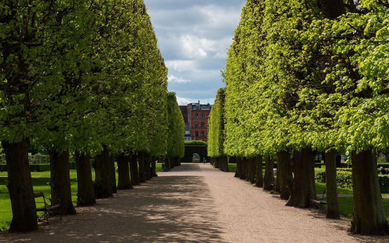 Discover why Copenhagen is the ultimate green city