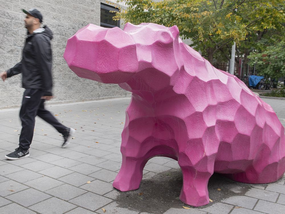 Roadwork finds remnants of 1800s Montreal zoo run by the ‘Canadian Barnum’