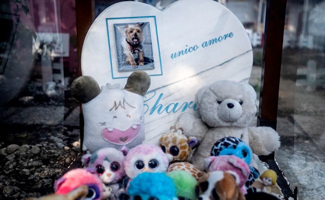 Mussolini’s Hen Rests At Italy’s Oldest Pet Cemetery