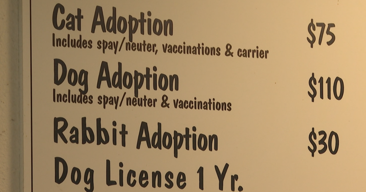 Pet adoption and proprietor reclamation charges waived for month of October