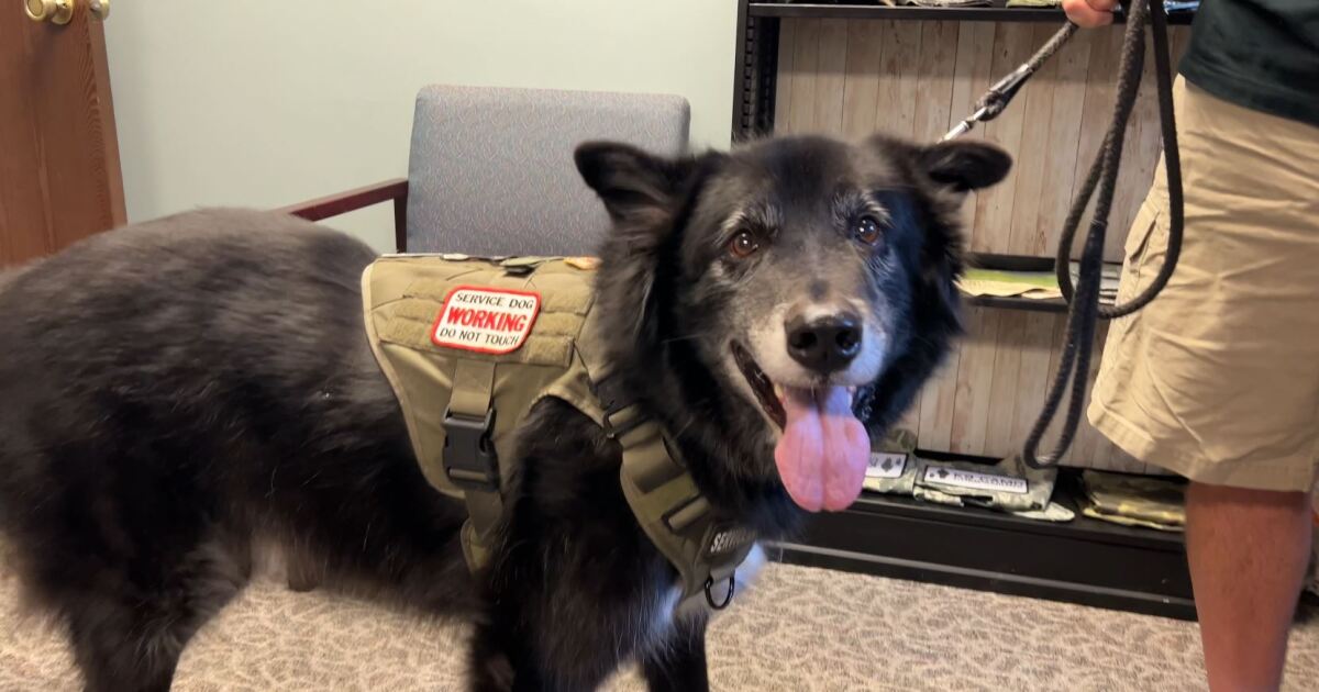 Native chiropractor helps present veterans with companion pets