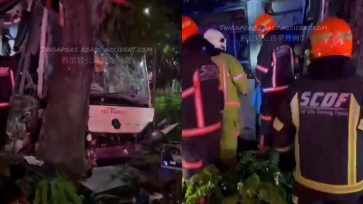 SBS transit driver dies after bus crashes into tree exterior Hougang depot