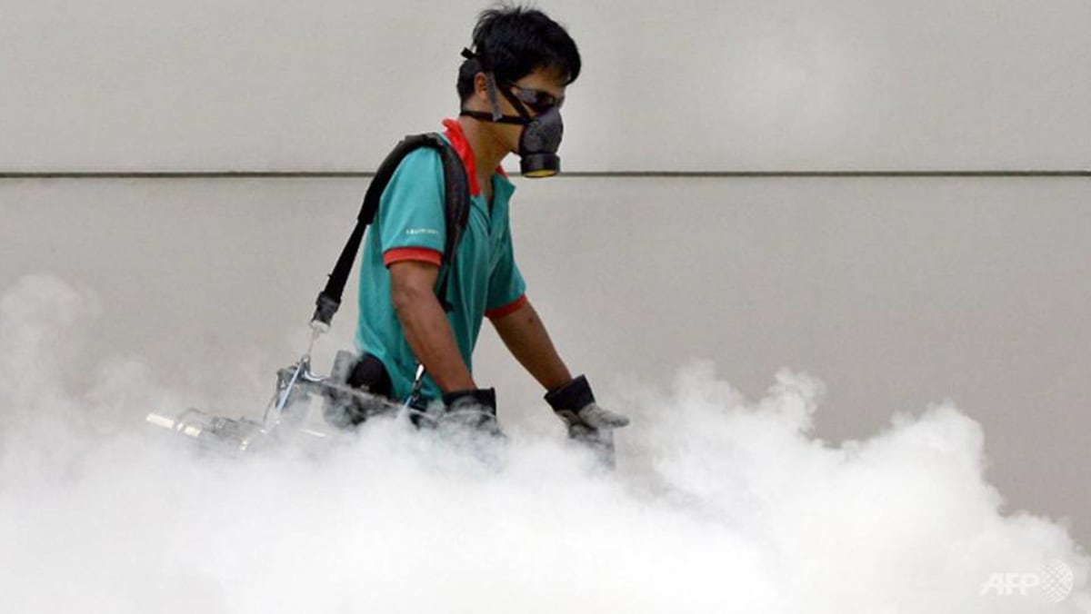 Weekly dengue instances fall by 70% as NEA closes virtually all clusters since begin of 2022