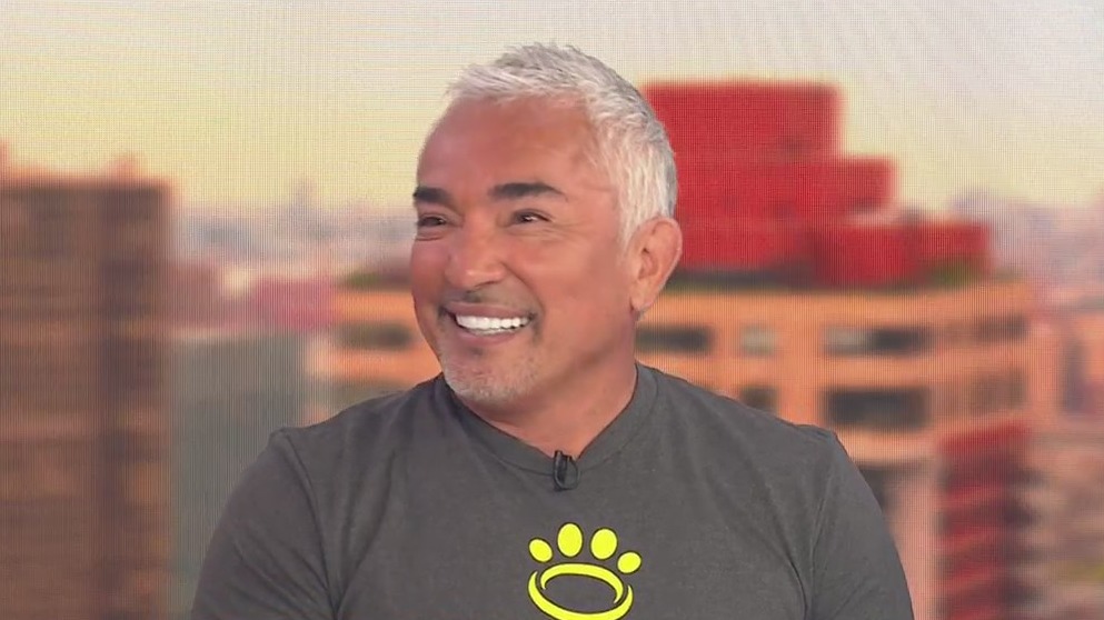 Movie star canine coach Cesar Millan shares coaching ideas