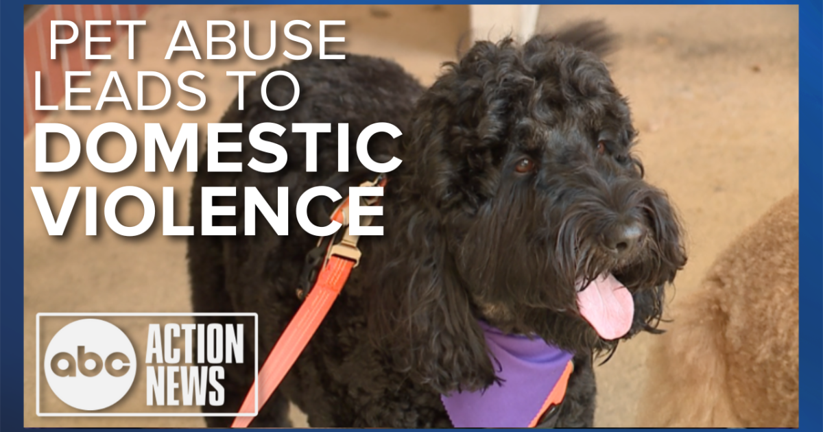 Experts say pets are also often victims of domestic abuse