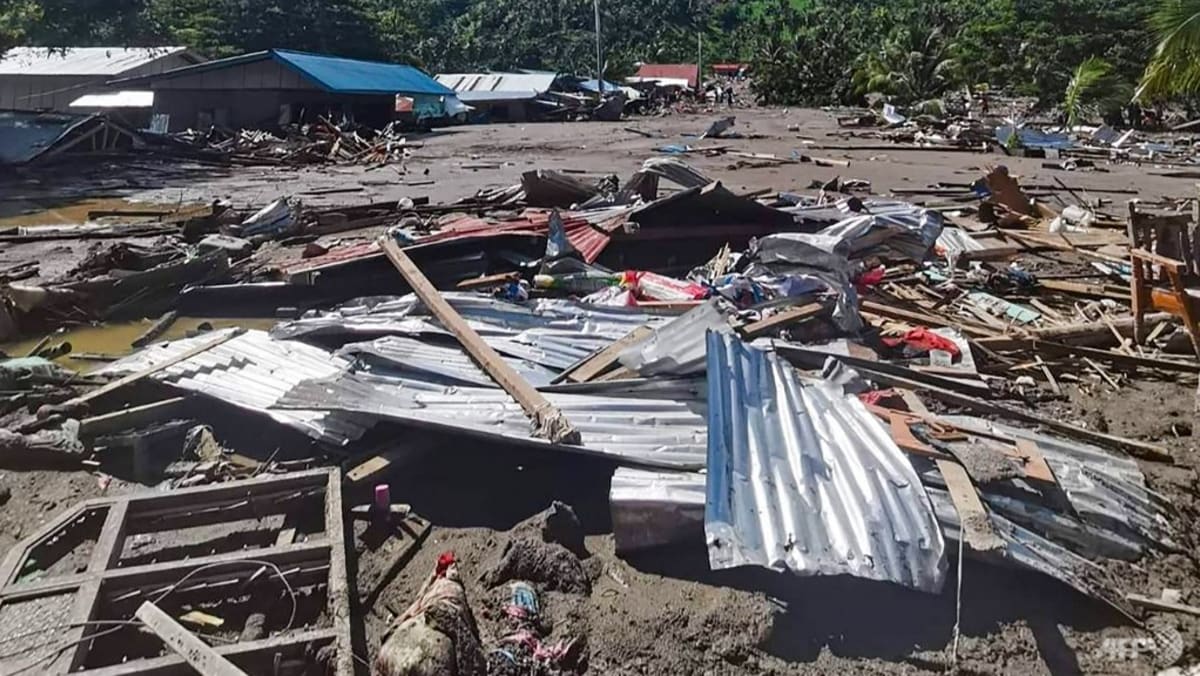 Vivian Balakrishnan sends condolences to Philippines after tropical storm Nalgae kills at the very least 150