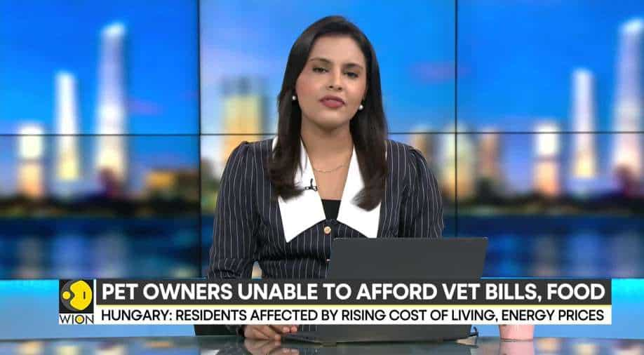 Hungary: Animal shelters battle to take care of pets, unable to afford vet payments, meals – WION