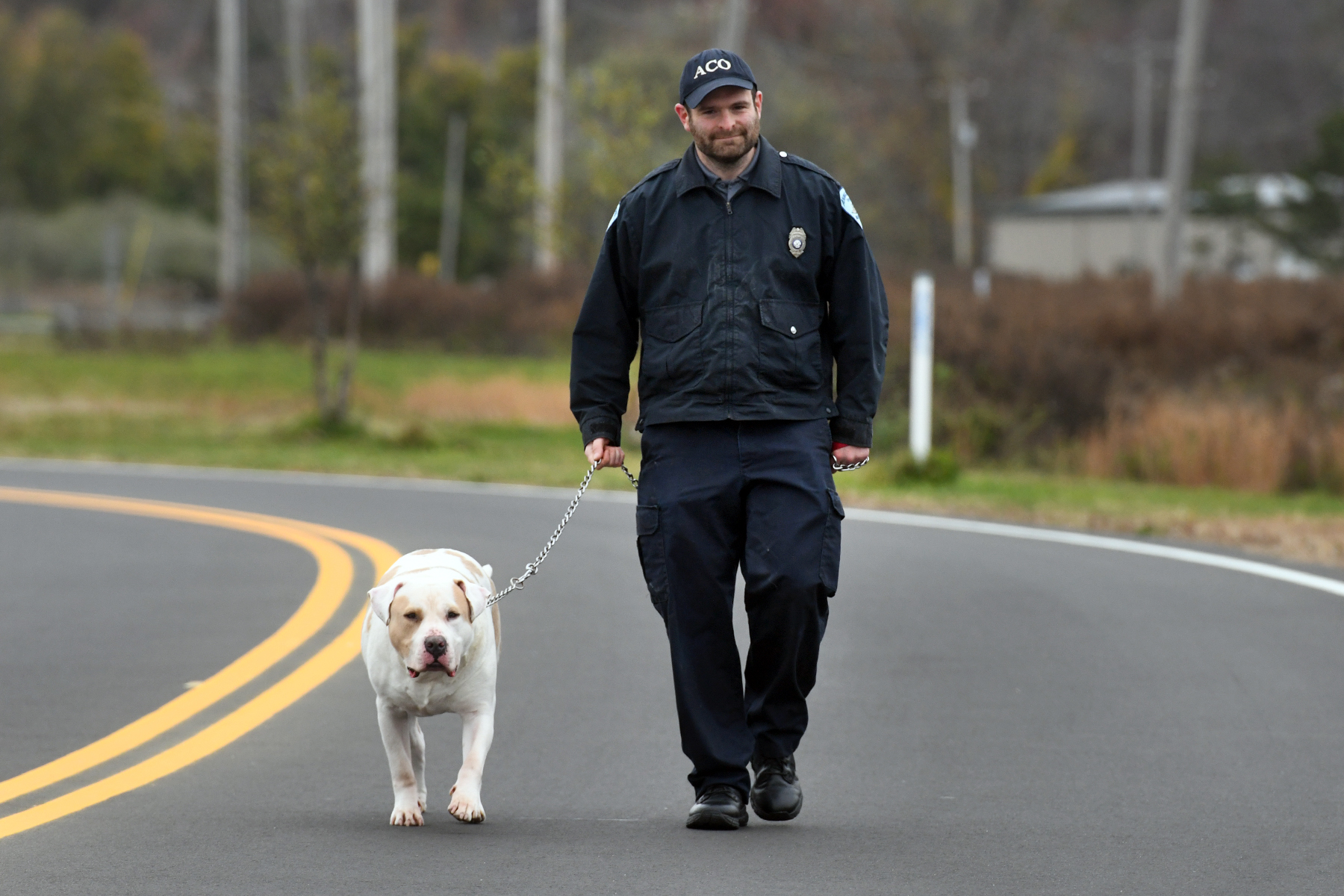 No shock pets as presents, CT & Milford animal advocates say