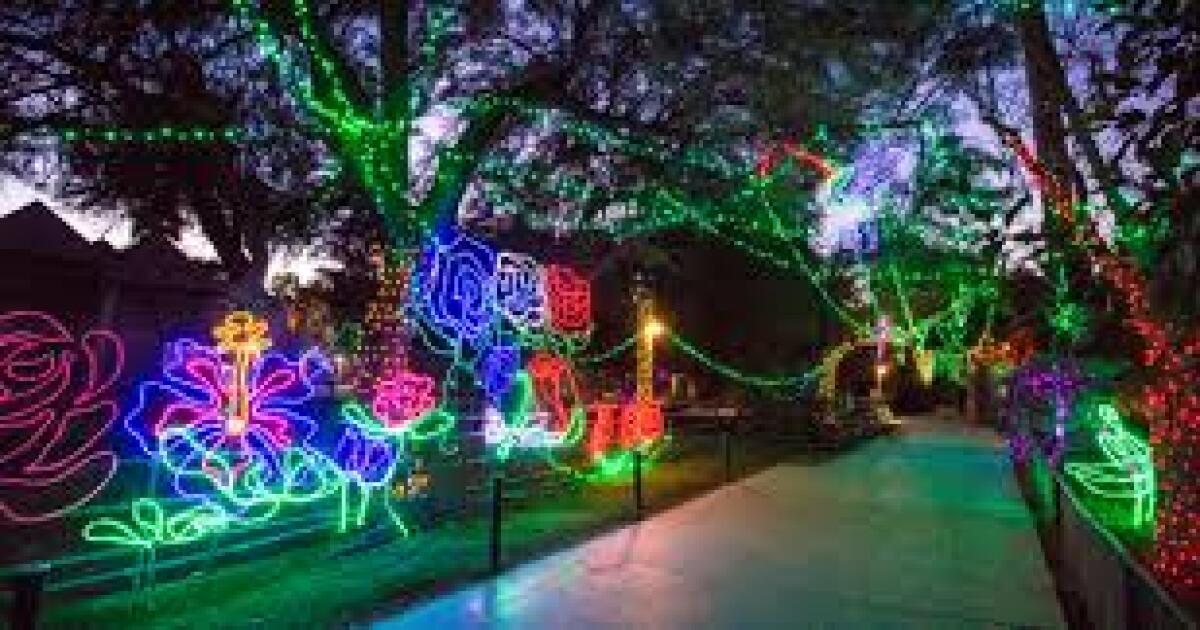 Vacation Magic set to twinkle at Reid Park Zoo starting Dec. 2