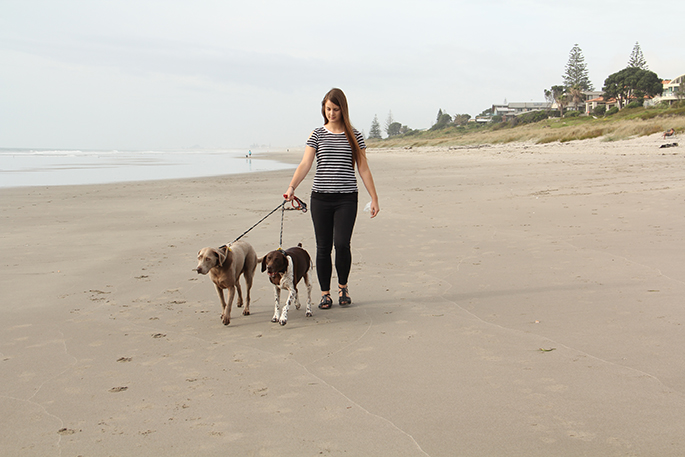 SunLive – Conserving pets secure on seashores and waterways