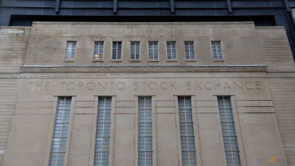 TSX tech challenge resolved after full buying and selling halt