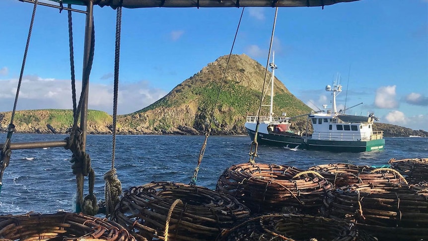 Uncooked magnificence, excessive hazard: the fantastically free lifetime of a west coast Tasmanian crayfisherman – ABC Information