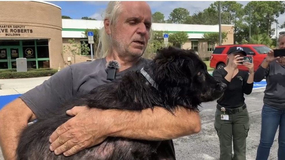 Florida couple, together with their pets, rescued from boat throughout Hurricane Nicole – KOMO Information