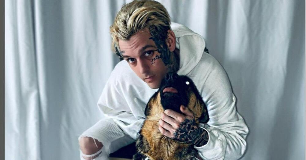 Aaron Carter’s canine has been rehomed | Leisure