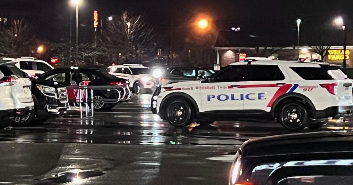 Police descend on Crest Plaza purchasing heart parking zone in South Whitehall as obvious standoff ensues | Lehigh Valley Regional Information