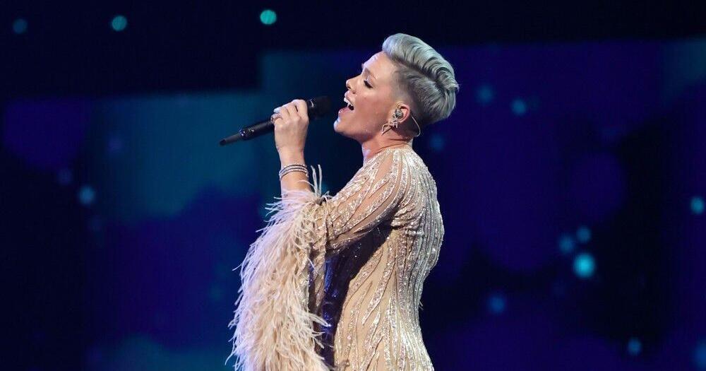 Pink ‘splashes out on portray by chimps’ | Leisure