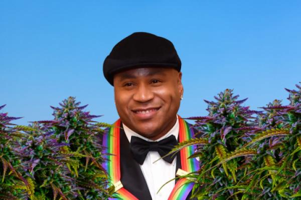 LL Cool J’s Rock The Bells Will Launch A Weed Life-style Model By way of Home Of Kush Partnership