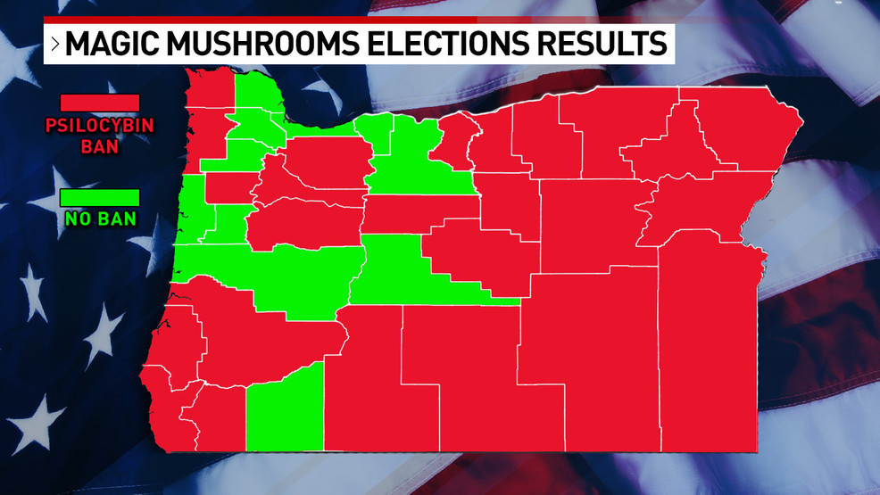 Magic mushrooms banned in 25 Oregon counties, over 100 cities – KATU