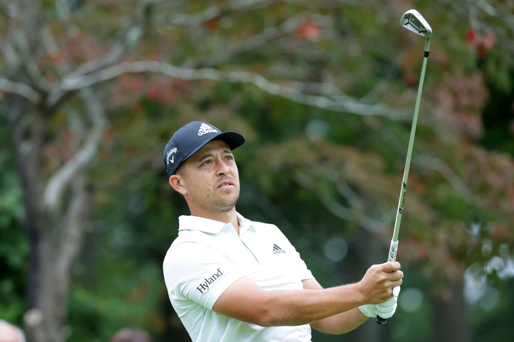 Xander Schauffele LIV Golf bits of gossip: All you actually need to remember