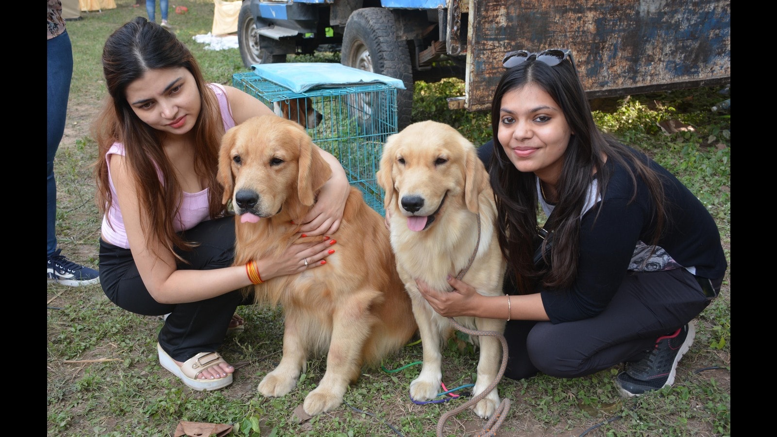 Royal Kennel Membership’s canine present concludes in Panchkula