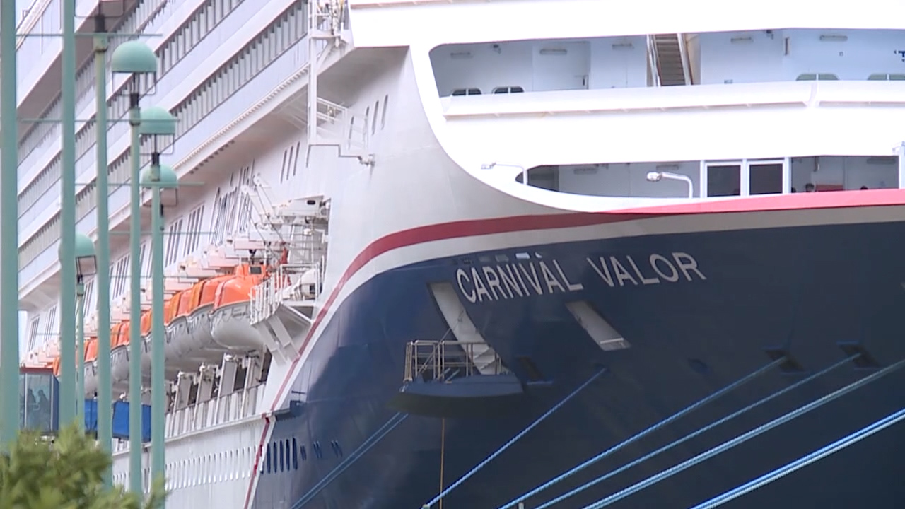 Carnival confirms seek for man lacking on Nola cruise