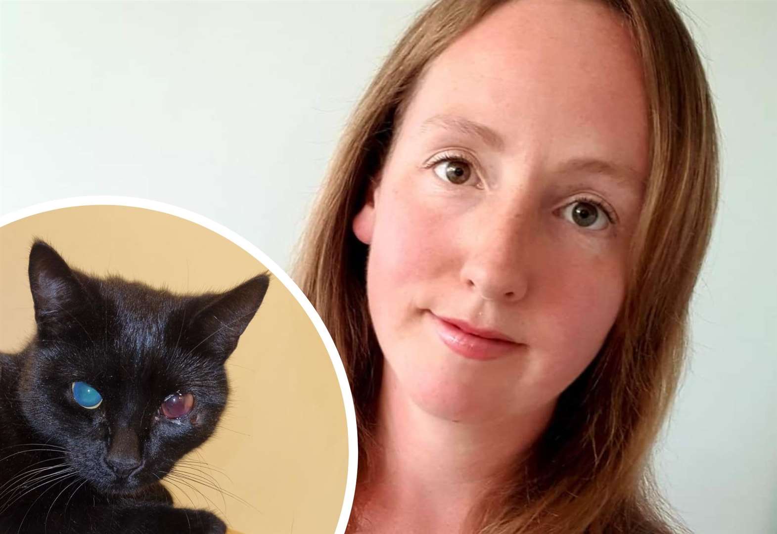 Faversham cat proprietor’s pets shot by air rifle in two separate incidents inside weeks