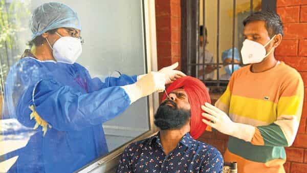 Don’t panic, says govt panel whereas advising coronavirus-appropriate behaviour amid rising circumstances